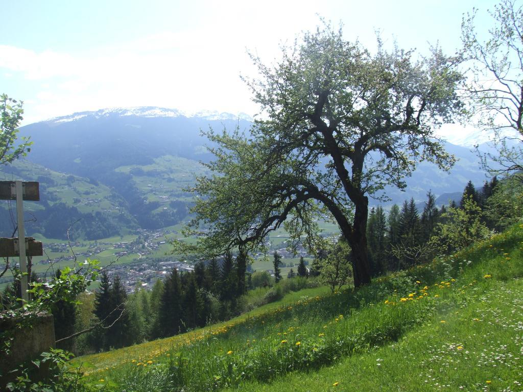 Ferienwohnung Lehenhof Ried im Zillertal Camera foto
